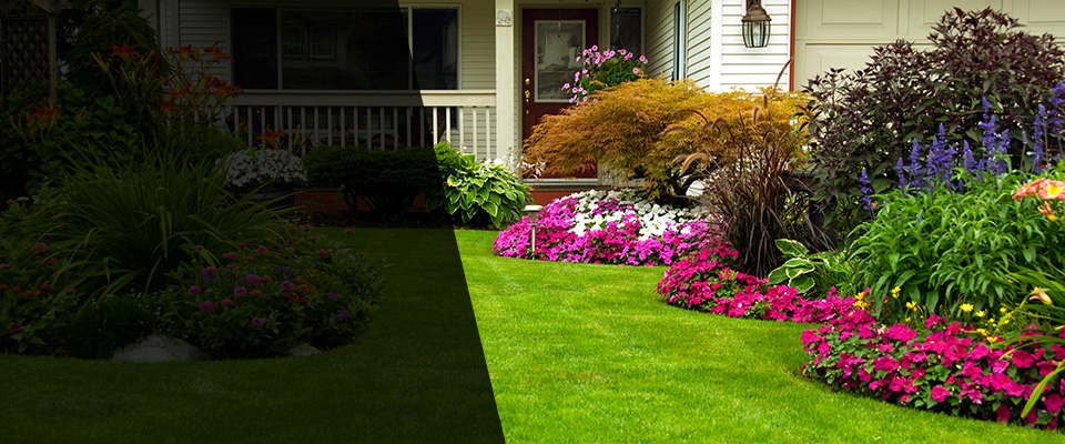 Cardington Landscapers