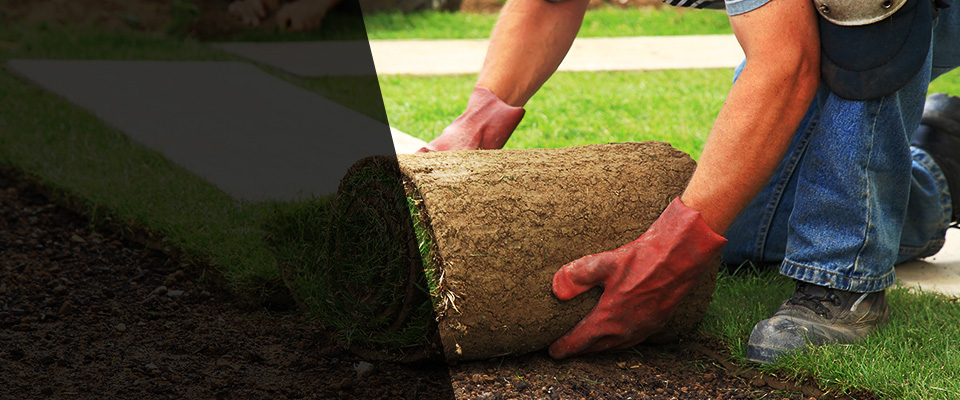 Cardington Landscapers